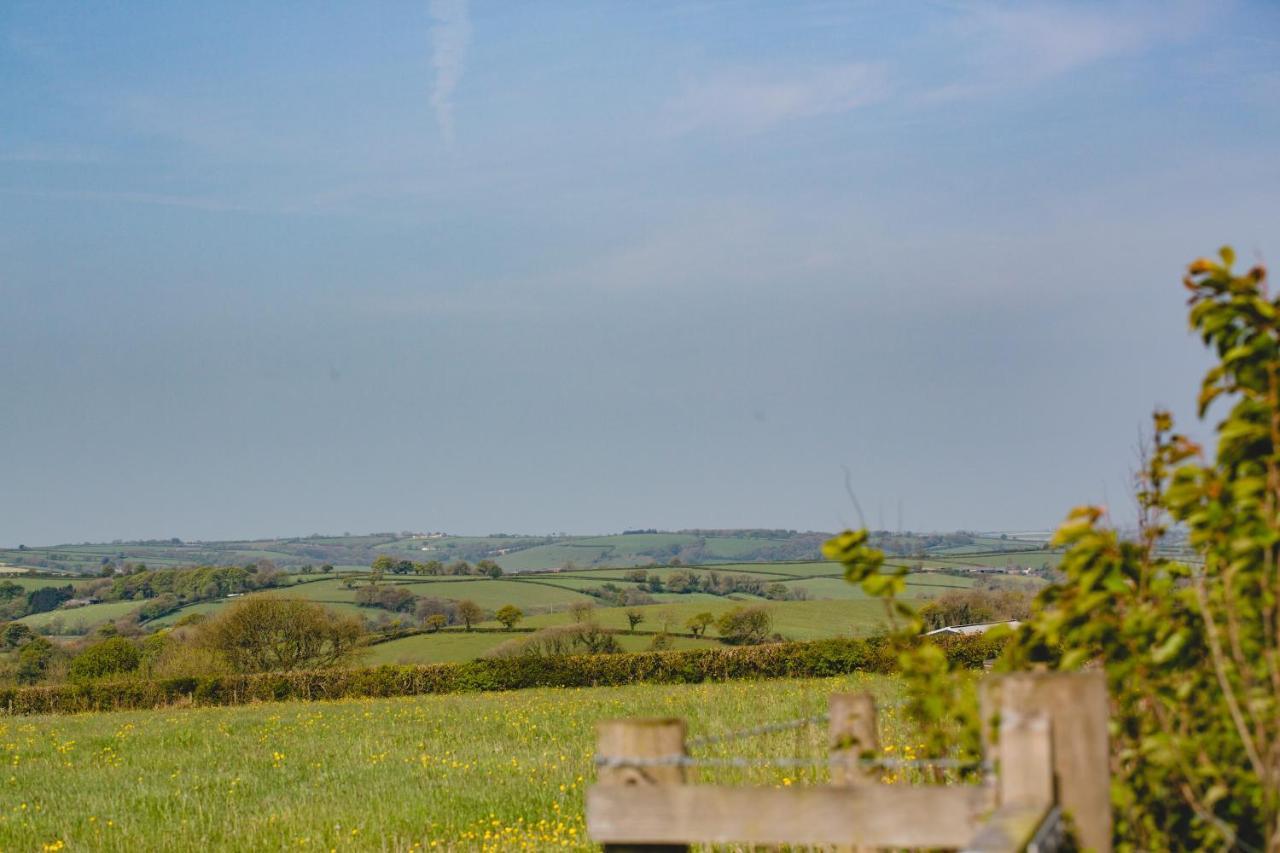 Maes Y Mel- A Couples, Pet Friendly, Rural Romantic Getaway With Countryside Views Gellywen Zewnętrze zdjęcie