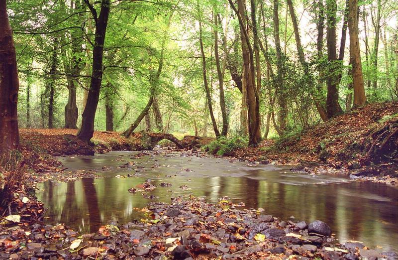 Maes Y Mel- A Couples, Pet Friendly, Rural Romantic Getaway With Countryside Views Gellywen Zewnętrze zdjęcie